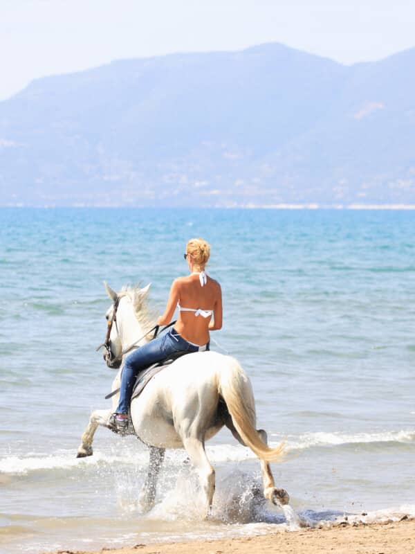 bigstock-Young-female-riding-her-horse--22427057 (1)